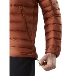 Arc'teryx Cerium LT Hoody - Men's -Western Mountaineering shop 18013 cerium lt hoody m komorebi hem adjuster f21 rsz 35659.1648758616