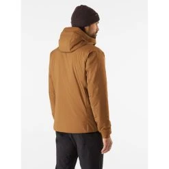 Arc'teryx Atom AR Hoody - Men's -Western Mountaineering shop Atom AR Hoody Relic Back View rsz 61133.1671035791