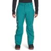 The North Face Freedom Pant - Men's (Fall 2022) -Western Mountaineering shop NF0A5ABV 2W9 hero rsz 47488.1664305265.1280.1280 82743.1675301807