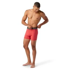 Smartwool Boxer Brief Boxed - Men's -Western Mountaineering shop SW016996B33 2 p rsz 78486.1676507318